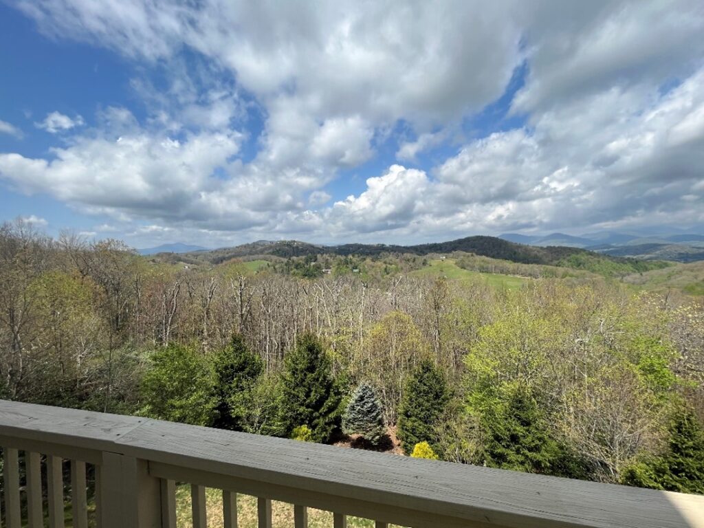 Blowing Rock NC Tree Removal , boone nc tree removal